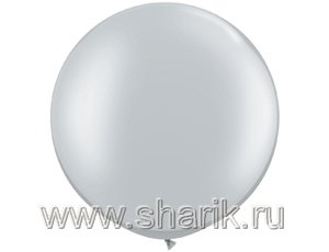 1102-1013 Q 30"  Silver