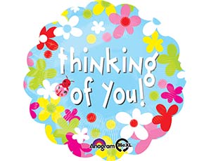 1202-2372  18" THINKING OF YOU/    S35