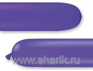 1107-0310  646Q  Purple Violet