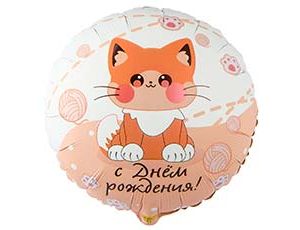 1202-4040 К 18" РУС ДР Котик усатый