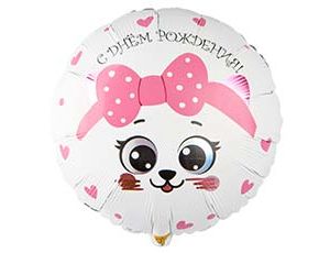 1202-4041 К 18" РУС ДР Кошка с розовым бантиком