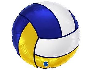 1202-4069 Г 18" Волейбольный мяч