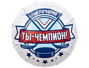 1202-4199 Р 18" РУС ТЫ ЧЕМПИОН Хоккеист