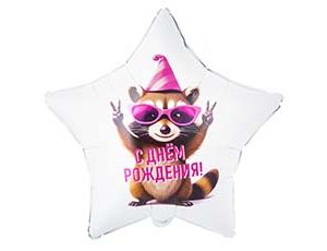 1202-4207 К 18" РУС ДР Енот в колпаке