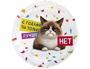 1202-4242 К 18" РУС С ГОДАМИ ТЫ ЛУЧШЕ Кот Сердитый