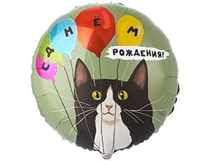 1202-4259 К 18" РУС ДР Кот и воздушные  шары