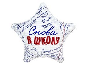 1202-4273 Р 18" РУС СНОВА В ШКОЛУ