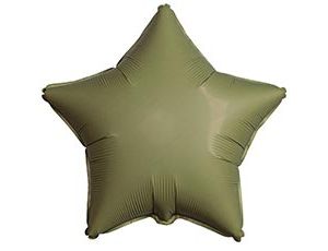1204-1610 Ф Б/РИС 18" ЗВЕЗДА Olive Green