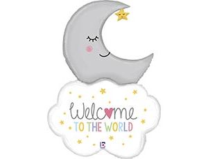 1207-4332   WELCOME TO WORLD  