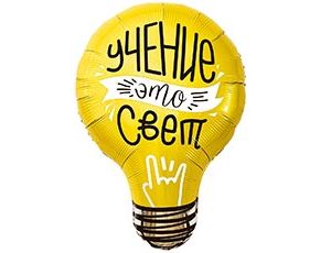 1207-5847 Р ФИГУРА УЧЕНИЕ ЭТО СВЕТ Лампочка
