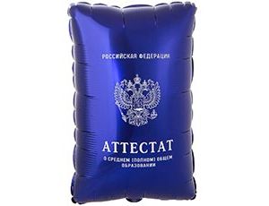 1207-6110 К ФИГУРА Аттестат