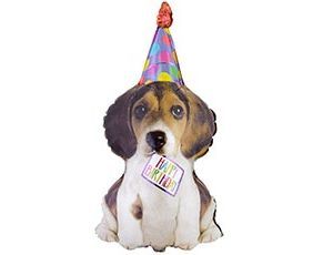 1207-6464 К ФИГУРА HB Собака щенок в колпаке