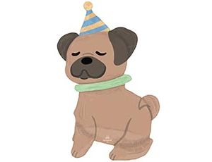 1208-0867 А ХОД/P93 Собака в колпаке