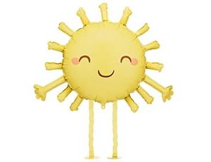 1208-1016 ПД ХОД Солнышко