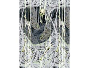 1501-2812 Декорация HWN Паучье логово 1,2мх12,1м/A