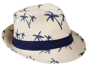 1501-3574 Шляпа-федора Гаваи Пальмы/A