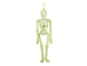 1501-4157 Скелет светящ в темноте пластик 39см/A
