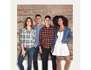 1501-5743 Декорация Деревянные доски 82х165см/А