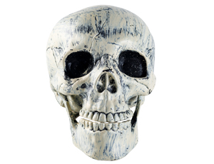 1501-5818 Череп пластик 34х20х15см/G
