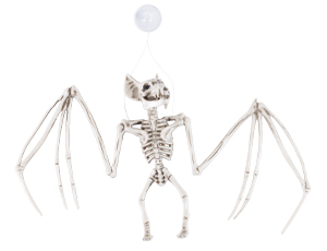 1501-7175 Скелет Летучей Мыши/G