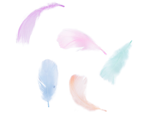 1501-7248 Перья декоративные Пастельный микс 6гр/G