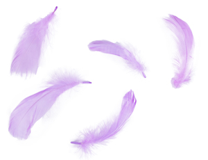 1501-7249 Перья декоративные Лаванда 6гр/G