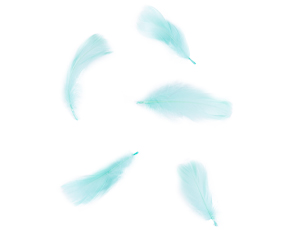 1501-7250 Перья декоративные мятные 6гр/G