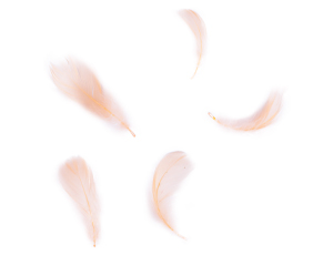 1501-7251 Перья декоративные персиковые 6гр/G