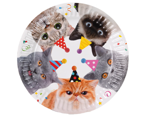 1502-6545 Тарелка Котики фотографичные 17см 6шт/G