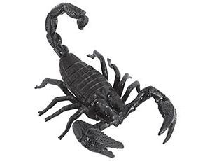 1507-1935 Скорпион гигант пласт черный 20см/А