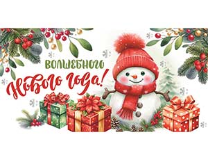 1509-1619 Конверт д/денег С НГ Снеговик