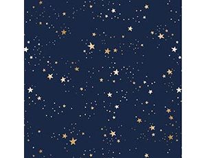 1509-1630 Бумага Звездная ночь с тис 70х100см 10шт
