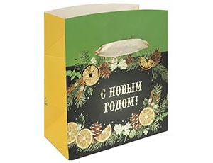 1509-2366 Пакет-коробка бум Аромат зимы 15х11х9см