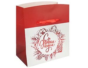 1509-2367 Пакет-коробка бум Сюрприз 15х11х9см