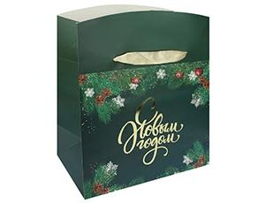 1509-2373 Пакет-короб бум Еловая веточка 23х20х14