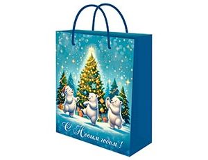 1509-2544 Пакет бум НГ Хоровод 18х23см