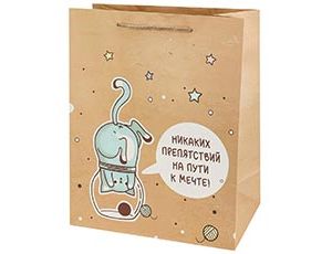 1509-2603 Пакет крафт Мечта Кот в банке 26x32x13см