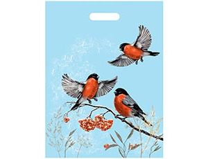 1509-2634 Пакет п/э Снегири 37х48см