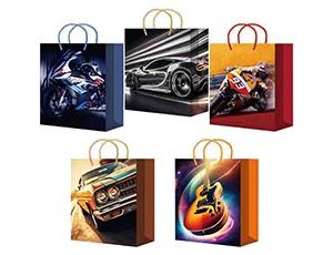 1509-2643 Пакет бум Скорость микс 26х33см