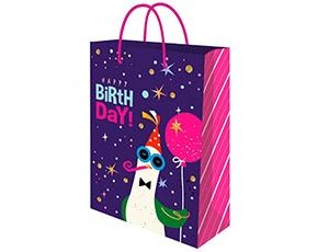 1509-2670 Пакет бум Веселый гусь 14х20см