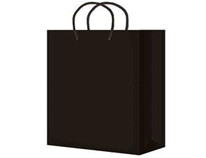 1509-2798 Пакет бум Черный однотон 25х36см