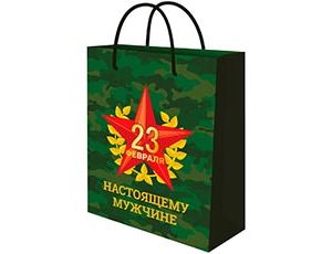 1509-2835 Пакет бум Праздник мужества 18х23см