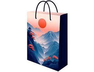 1509-2837 Пакет бум Восток 22х31см