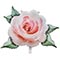 1207-5164 К ФИГУРА Роза акварель