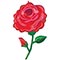 1207-6737 А ФИГУРА/P35 Роза алое сияние