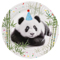 1502-6606 Тарелка Панды фотографичные 17см 6шт/G