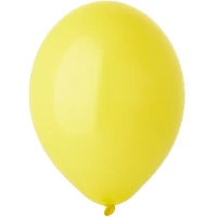 1102-0005 В 105/006 Пастель Экстра Yellow
