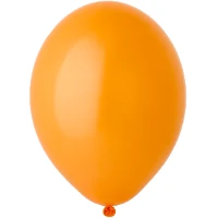 1102-0006 В 105/007 Пастель Экстра Orange
