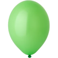 1102-0013 В 105/014 Пастель Экстра Lime Green
