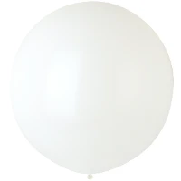 1102-1700 Э 24"/100 Стандарт White